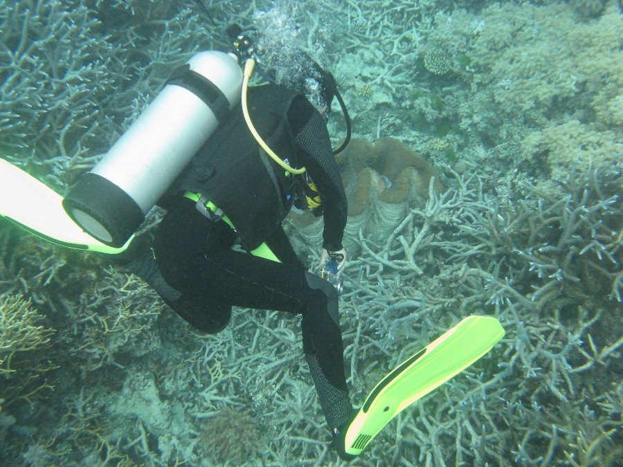 Dive Photos/2009-07 Great Barrier Reef/img_0903.jpg